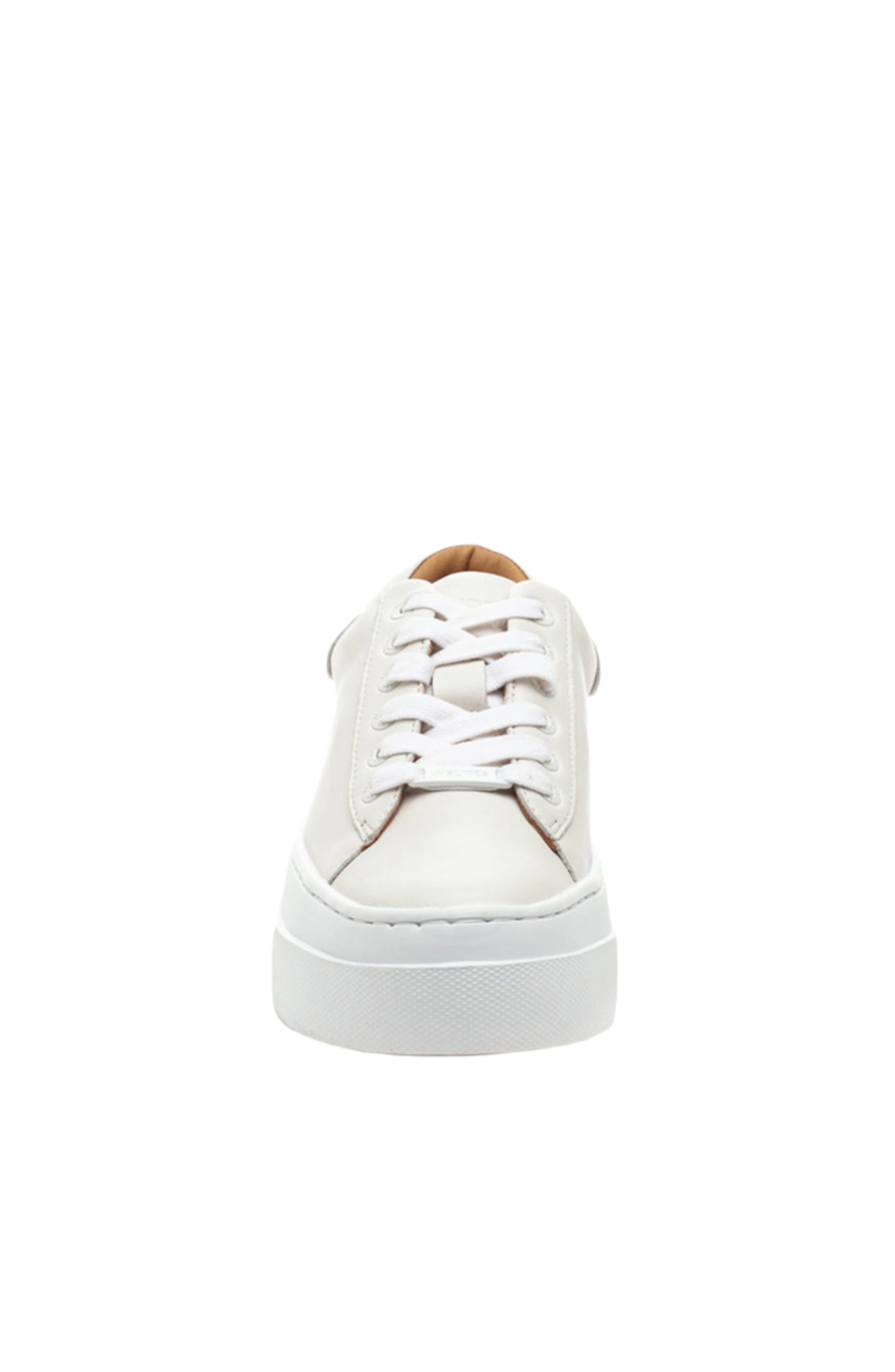 white white