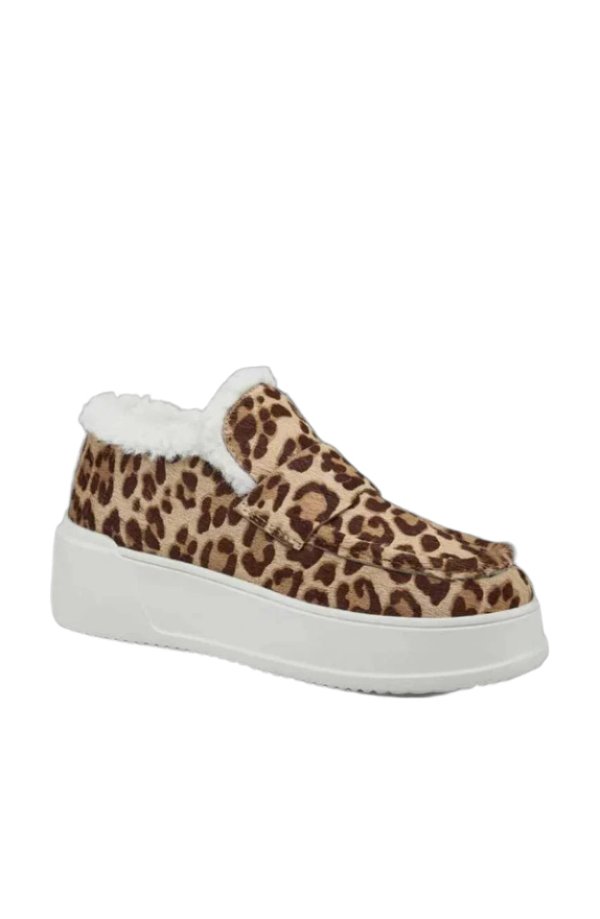 leopard leopard