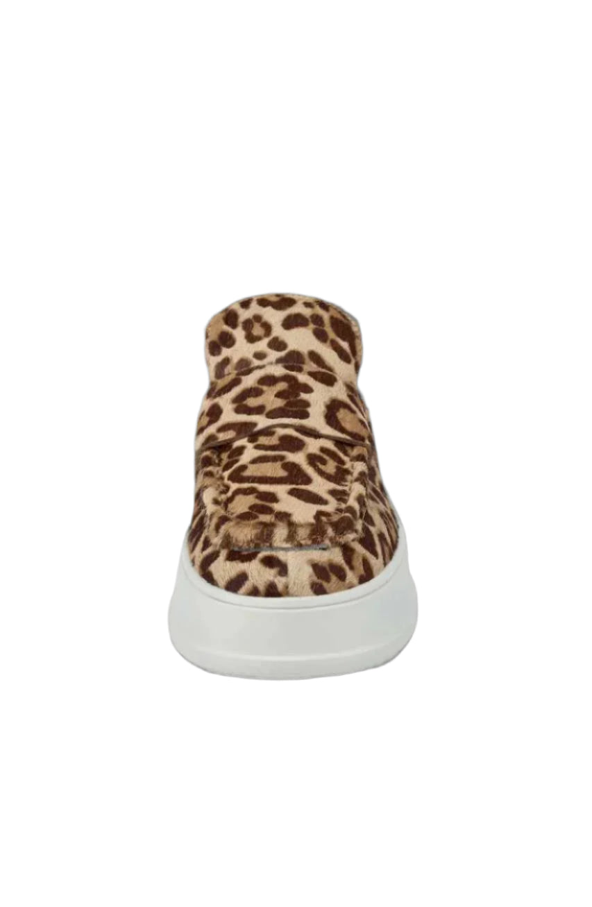 leopard leopard