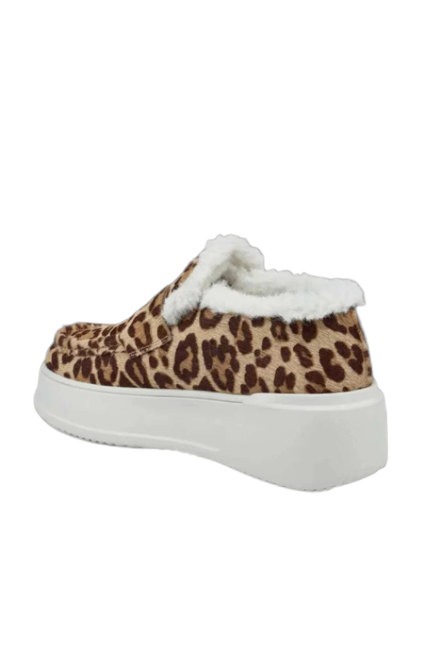 leopard leopard