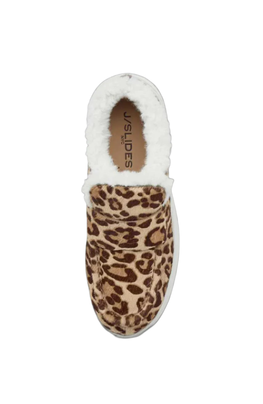 leopard leopard