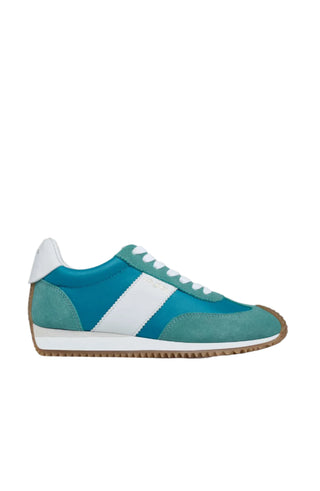 turquoise multi